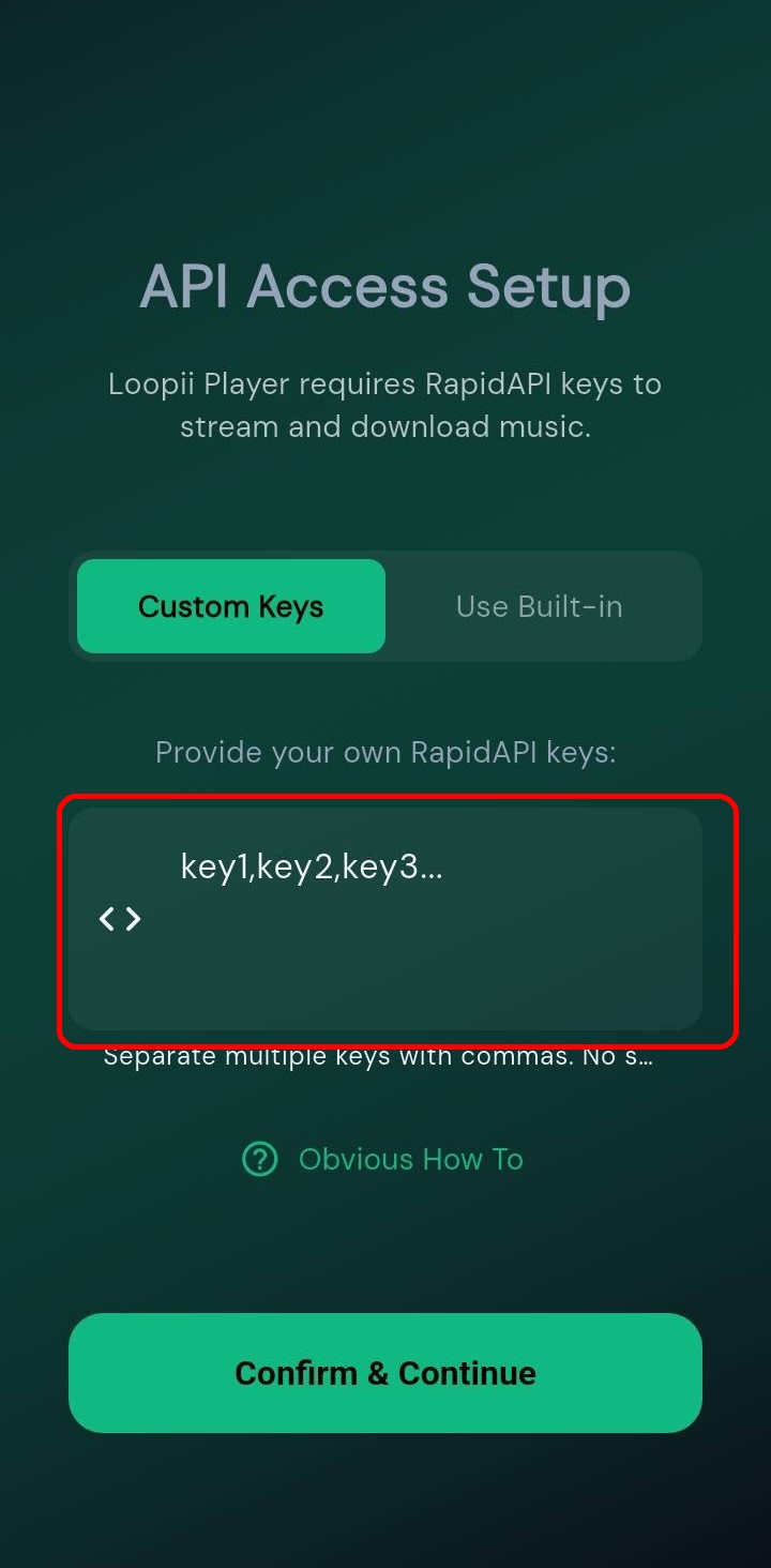 App settings screen where you paste your API keys